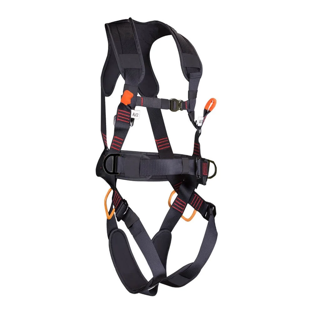 ARNES VELETA PLUS